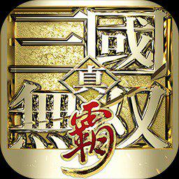 真·三国无双 霸